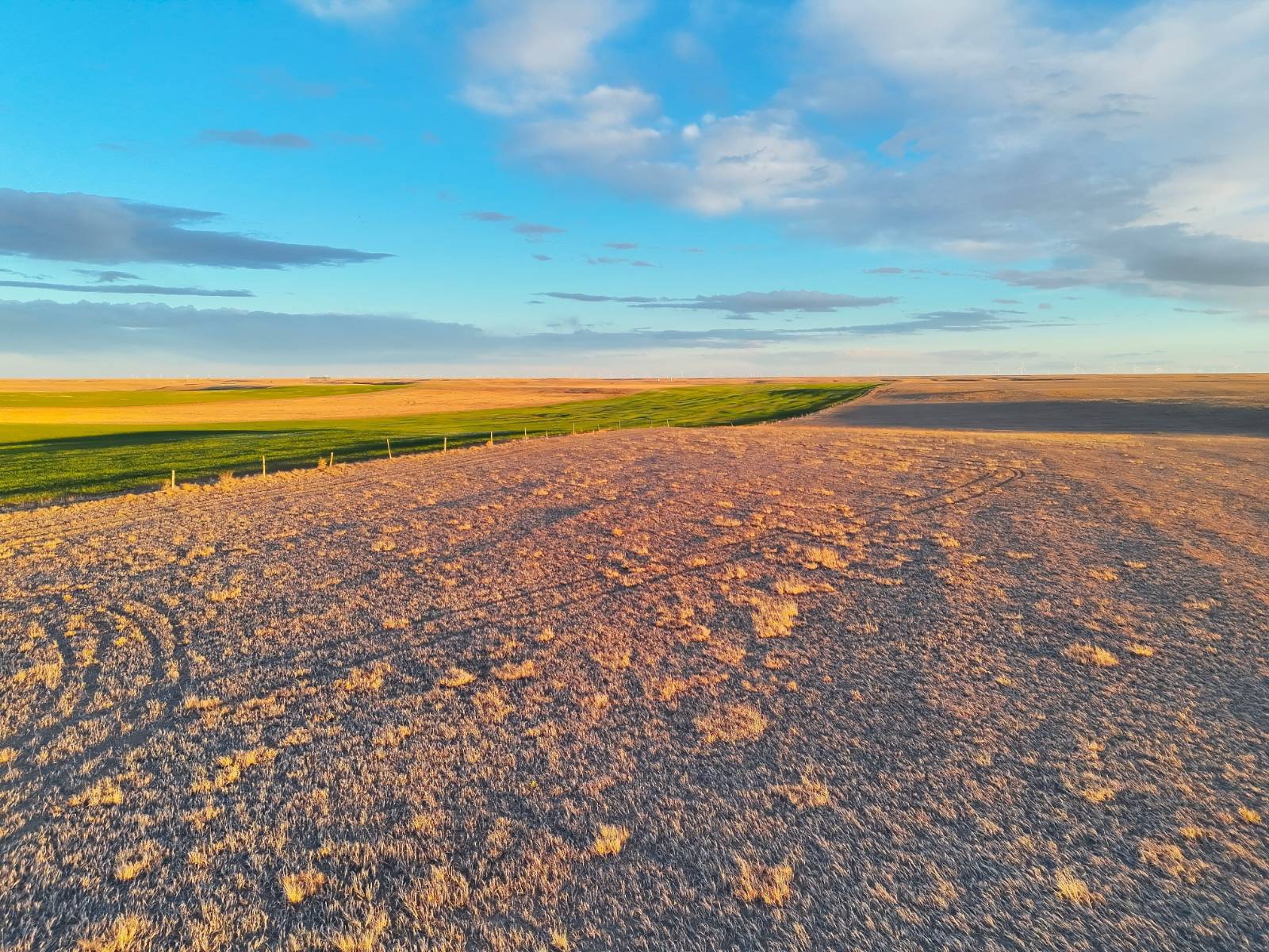 161 acres in Kimball County, NE: hunting land for sale near Bushnell, NE