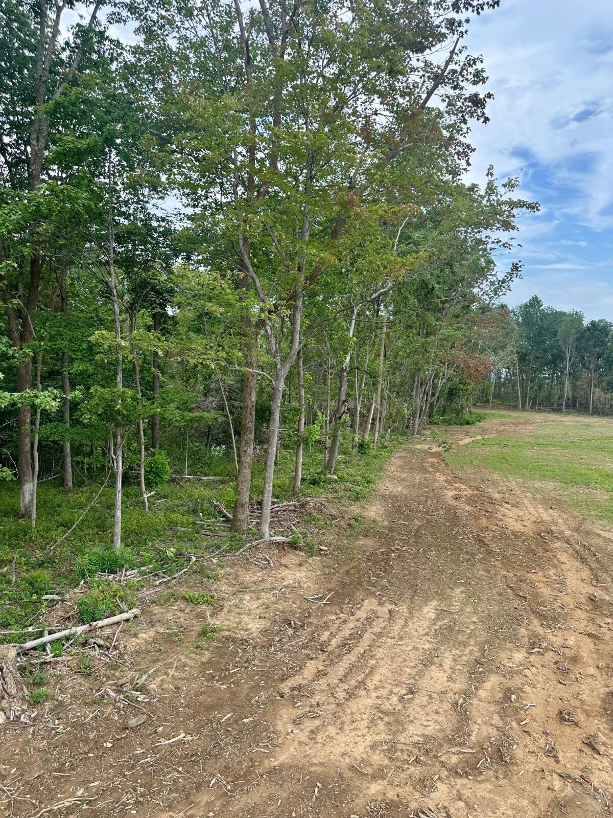03 Silver City Huntsville Rd