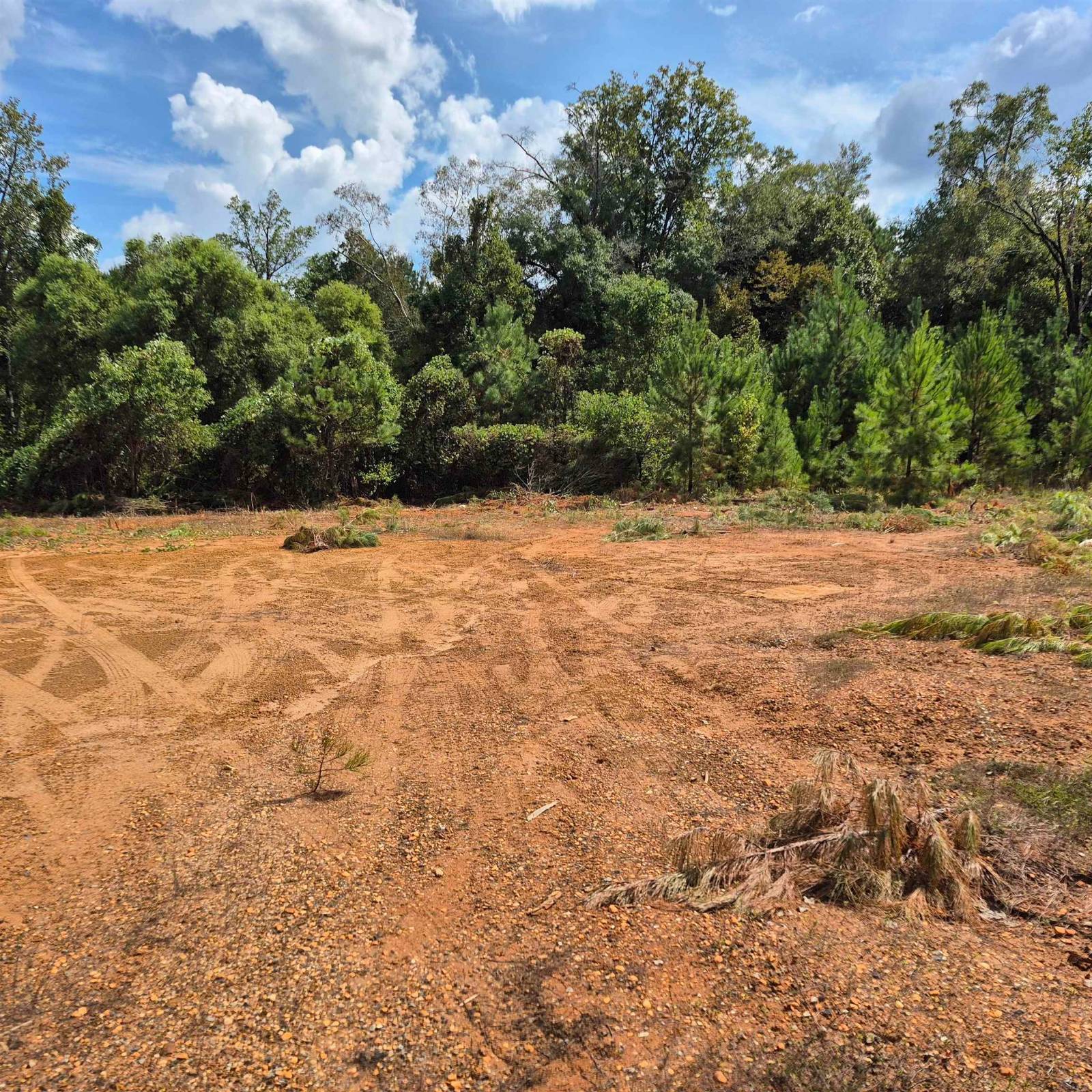 Photo 1 of 5 of land for sale at 0 W Front Street, Evergreen, AL 36401