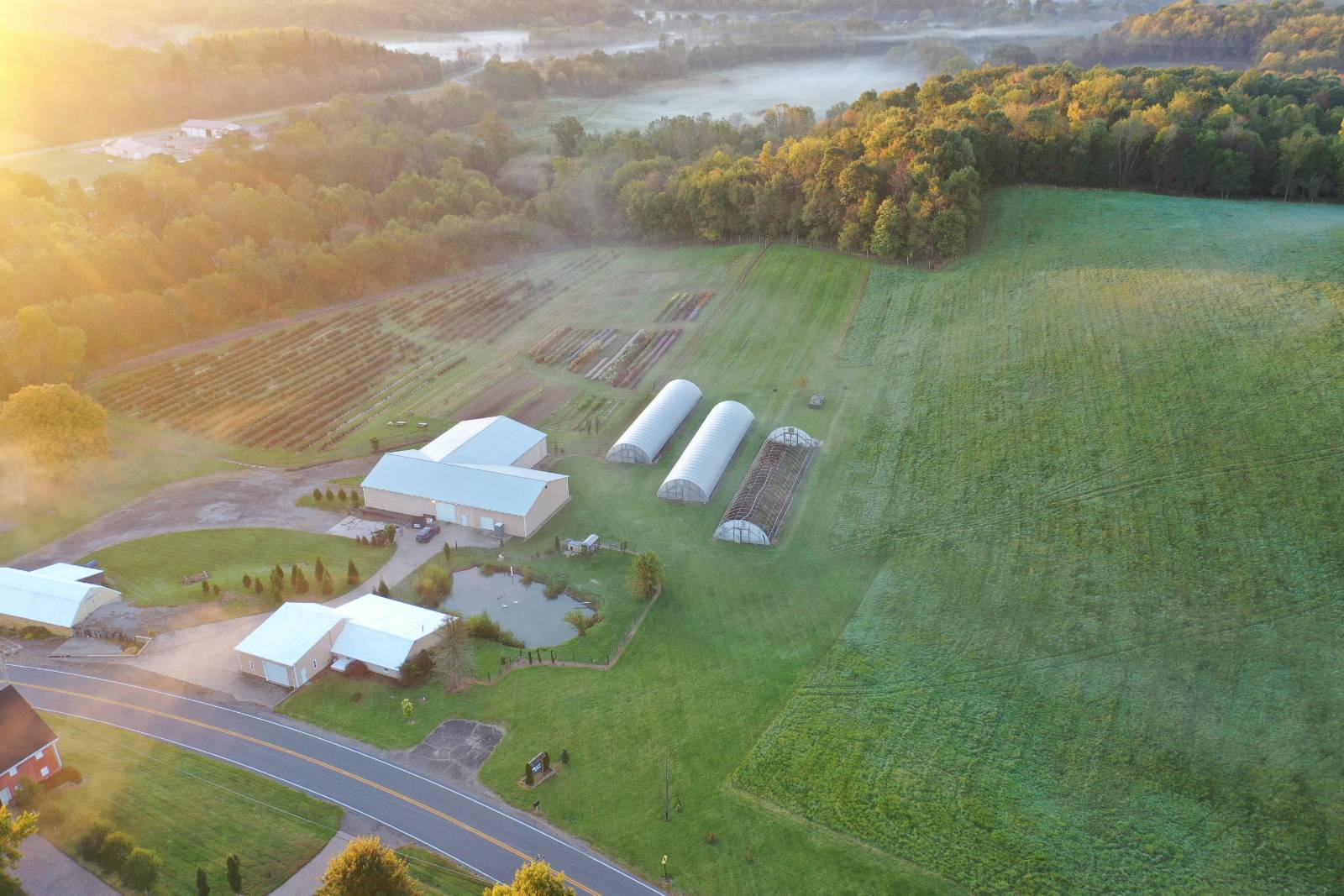 71.5-Acre Hunting Land for Sale, Stark County, OH, photo 3 of 85