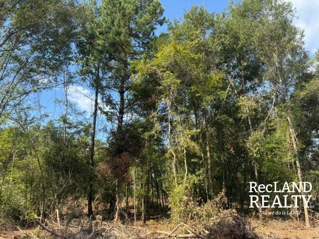 89-Acre Hunting Land for Sale, Jackson Parish, LA, photo 2 of 15