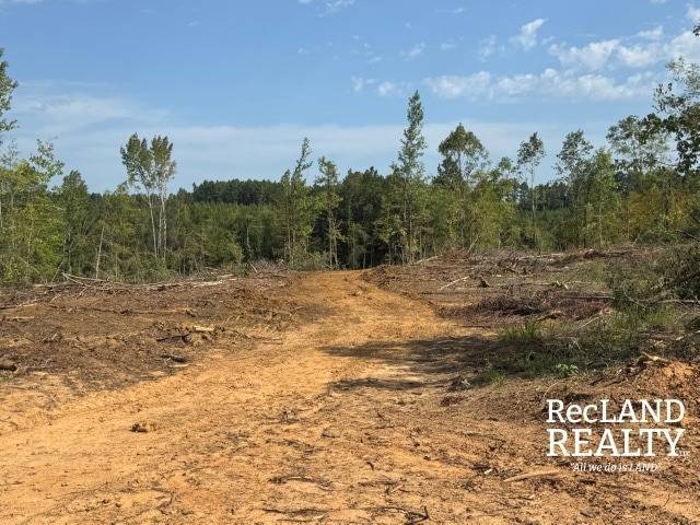 Photo 5 of 15 of land for sale at 0 off Quail Ridge Road, Jonesboro, LA 71251