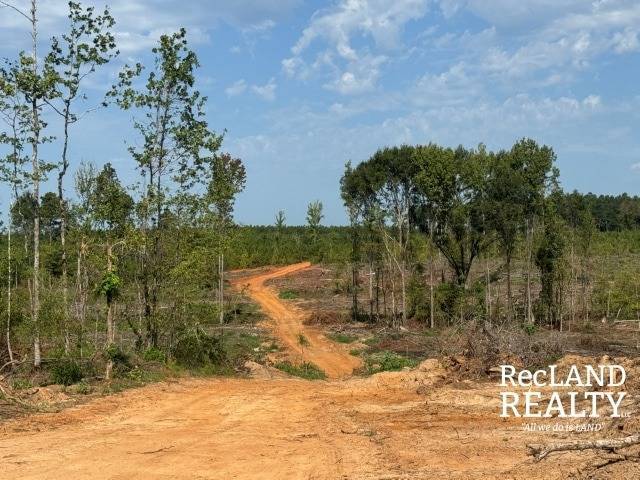 89-Acre Hunting Land for Sale, Jackson Parish, LA, photo 3 of 15