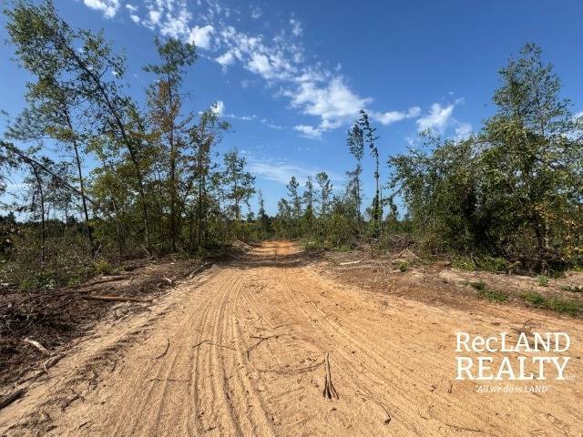 Photo 4 of 15 of land for sale at 0 off Quail Ridge Road, Jonesboro, LA 71251