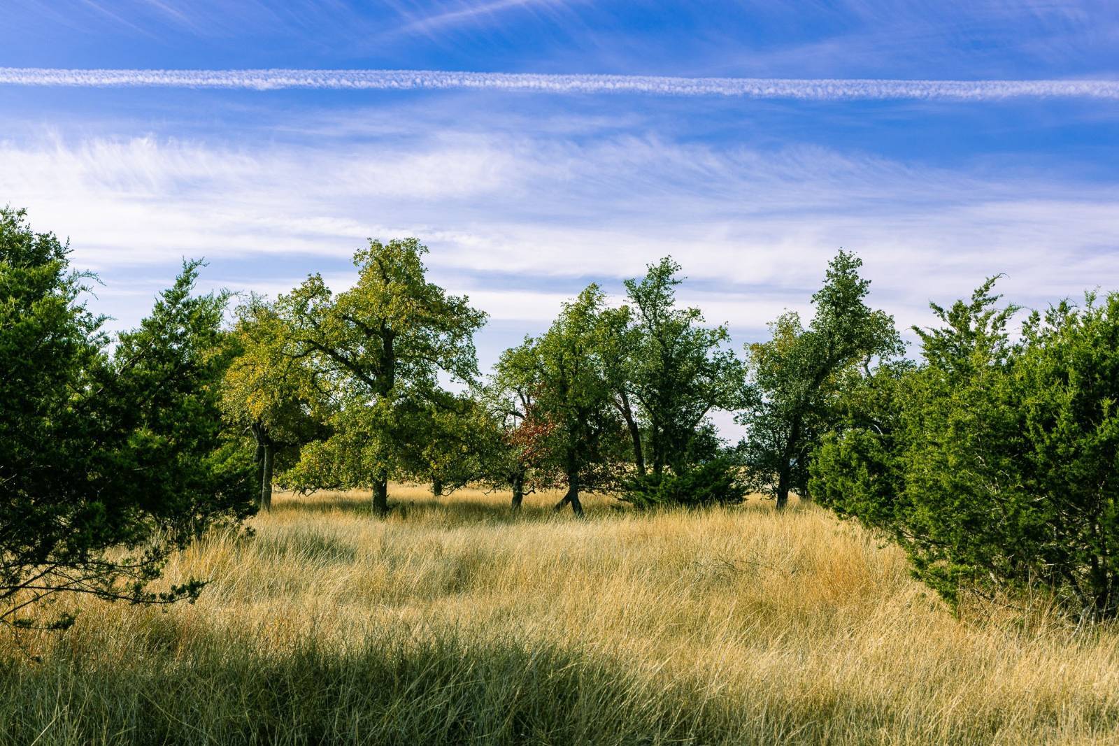 Photo 4 of 15 of land for sale at 100 Gretchen Grove Ln, Fredericksburg, TX 78624