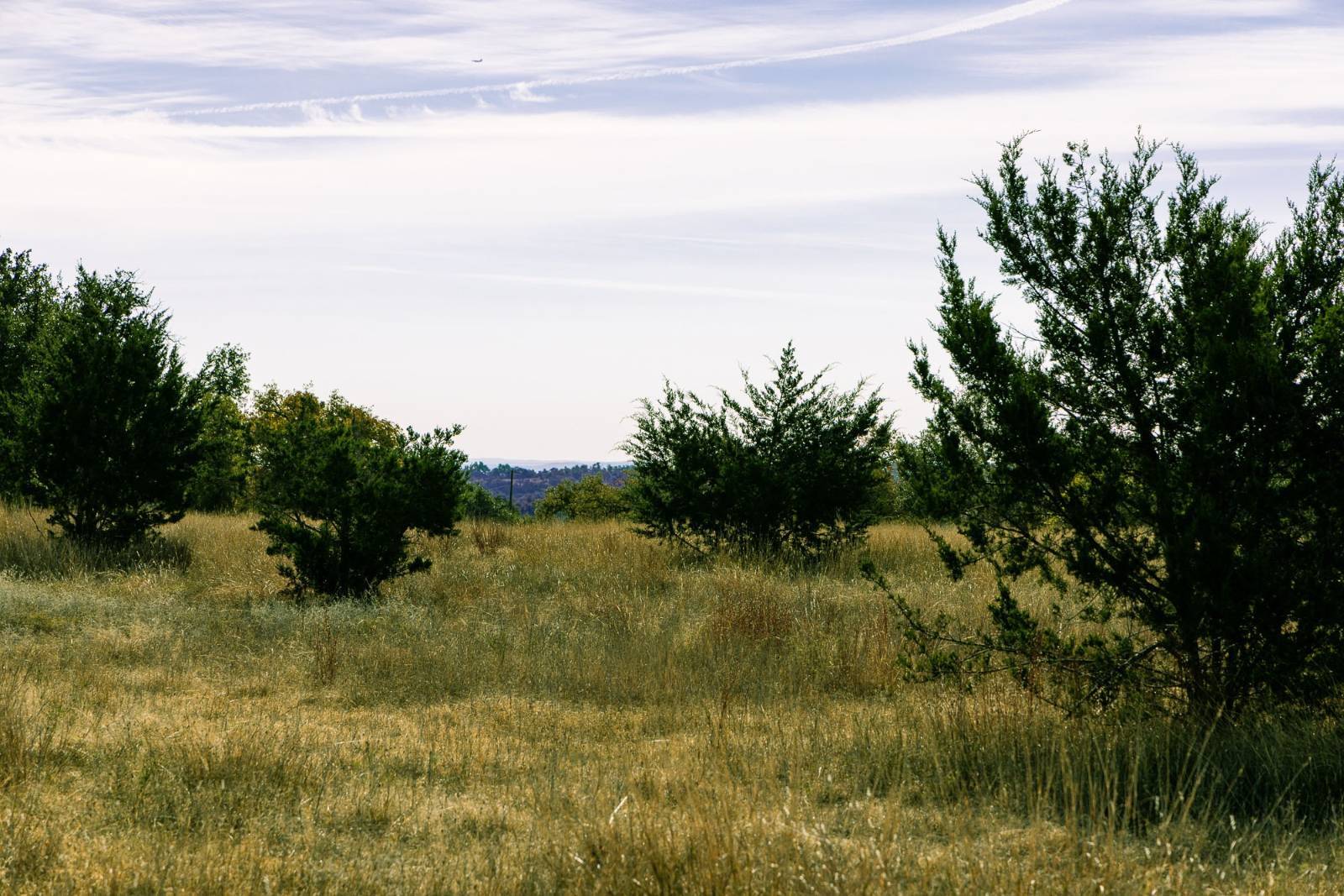 Photo 3 of 15 of land for sale at 100 Gretchen Grove Ln, Fredericksburg, TX 78624