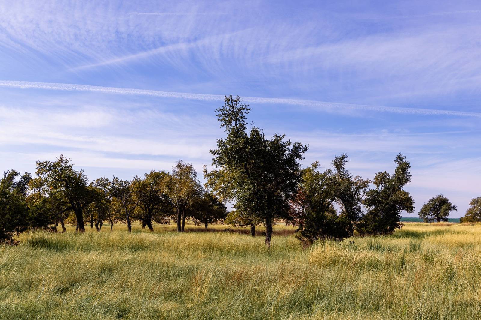 Photo 5 of 15 of land for sale at 100 Gretchen Grove Ln, Fredericksburg, TX 78624