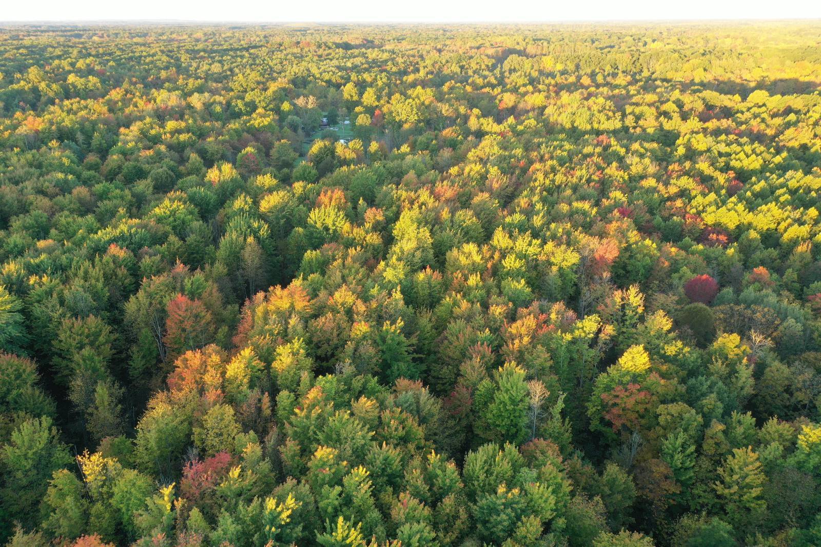 200-Acre Hunting Land for Sale, Ashtabula County, OH, photo 3 of 55