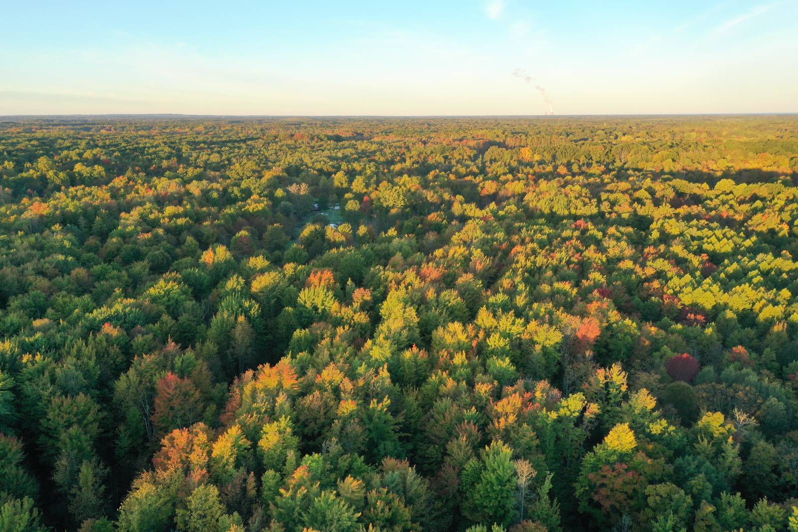 200-Acre Hunting Land for Sale, Ashtabula County, OH, photo 2 of 55