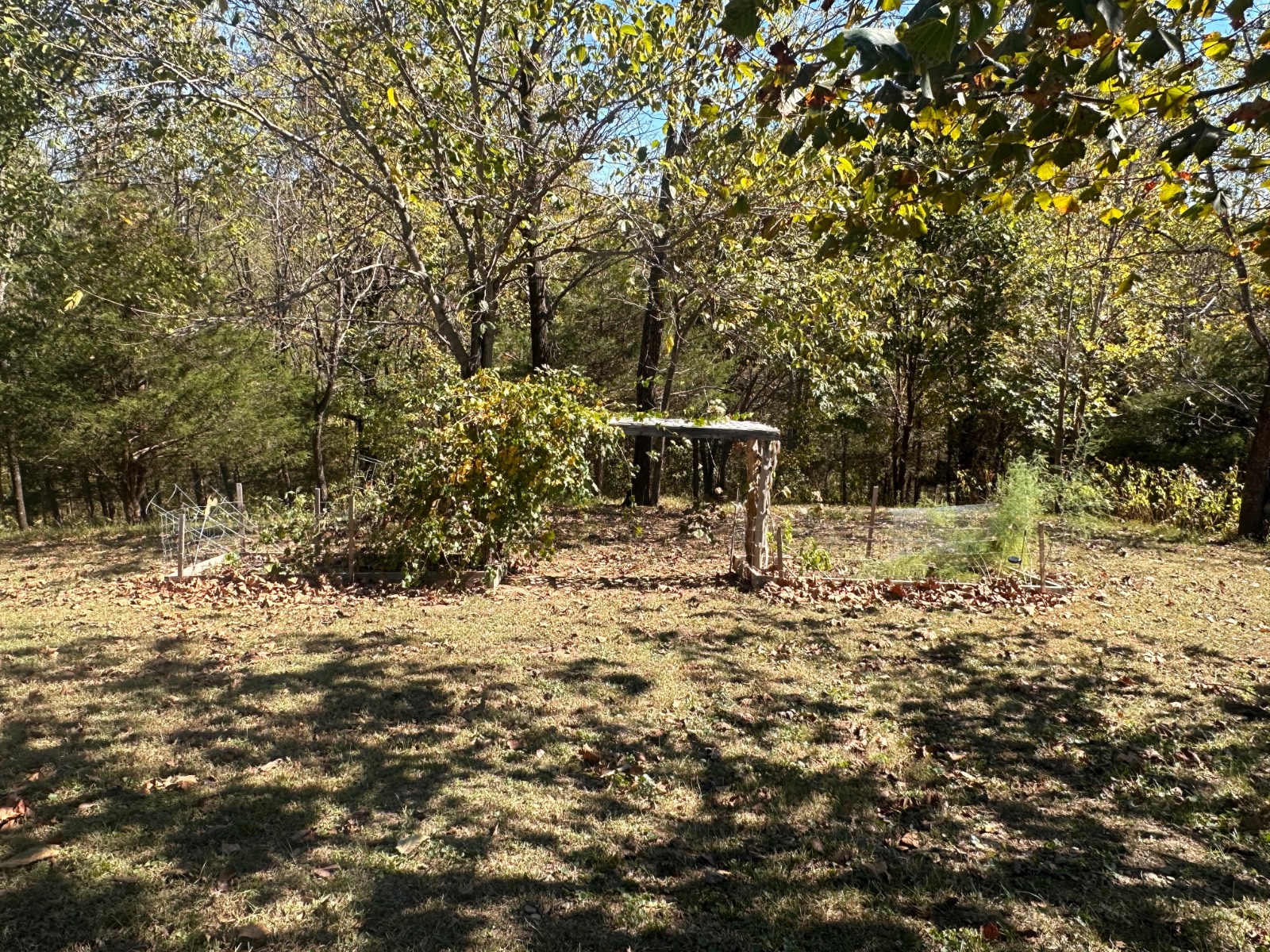 305 Scott Road