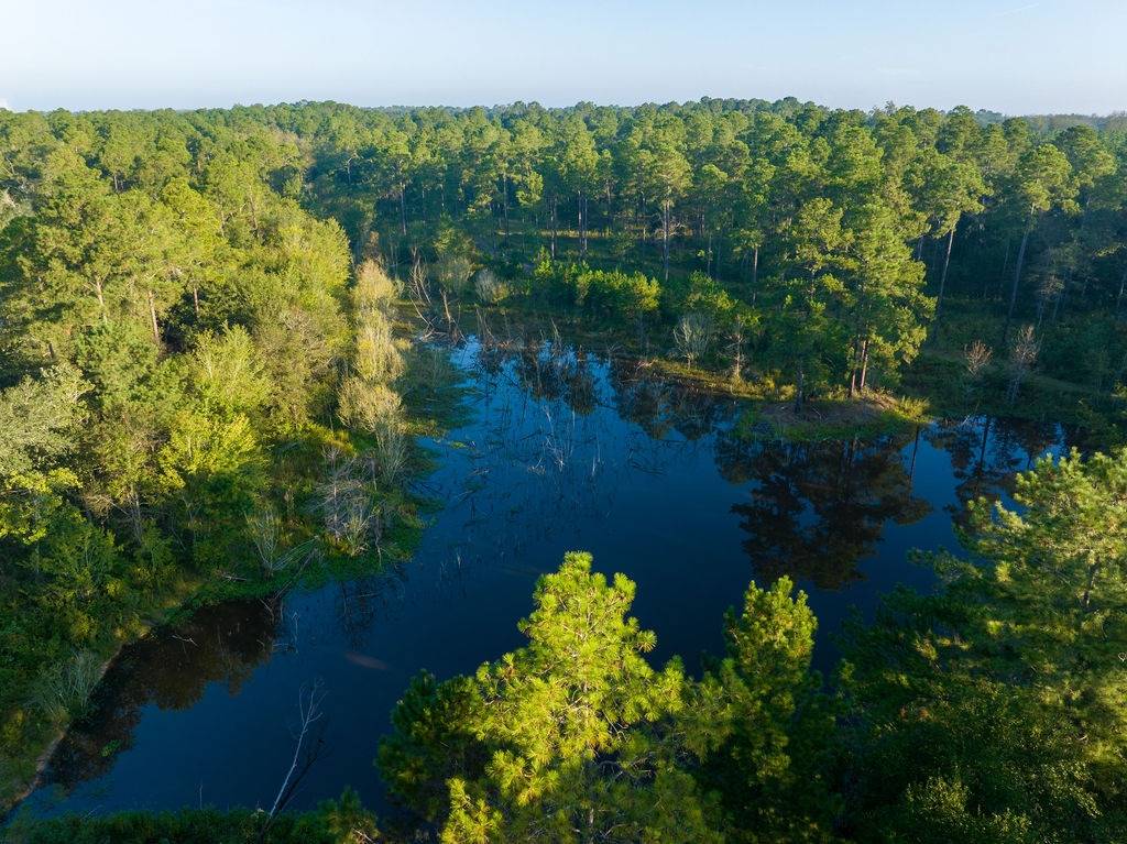 Photo 4 of 16 of land for sale at 1698 Stage Road, Ochlocknee, GA 31773