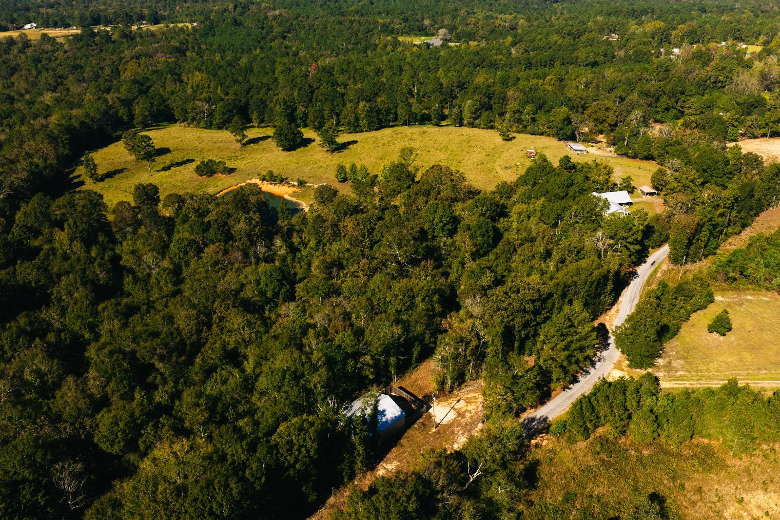 Photo 2 of 38 of land for sale at 179 Isaac Newsom Rd, Pinola, MS 39149