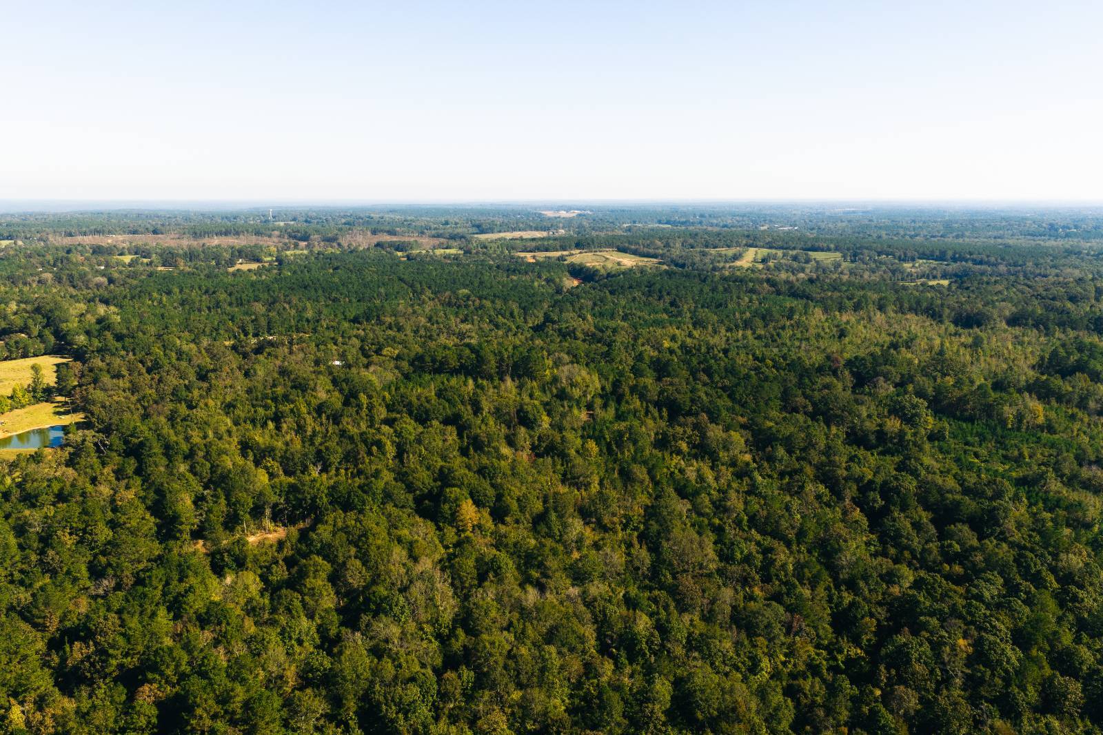 Photo 5 of 38 of land for sale at 179 Isaac Newsom Rd, Pinola, MS 39149