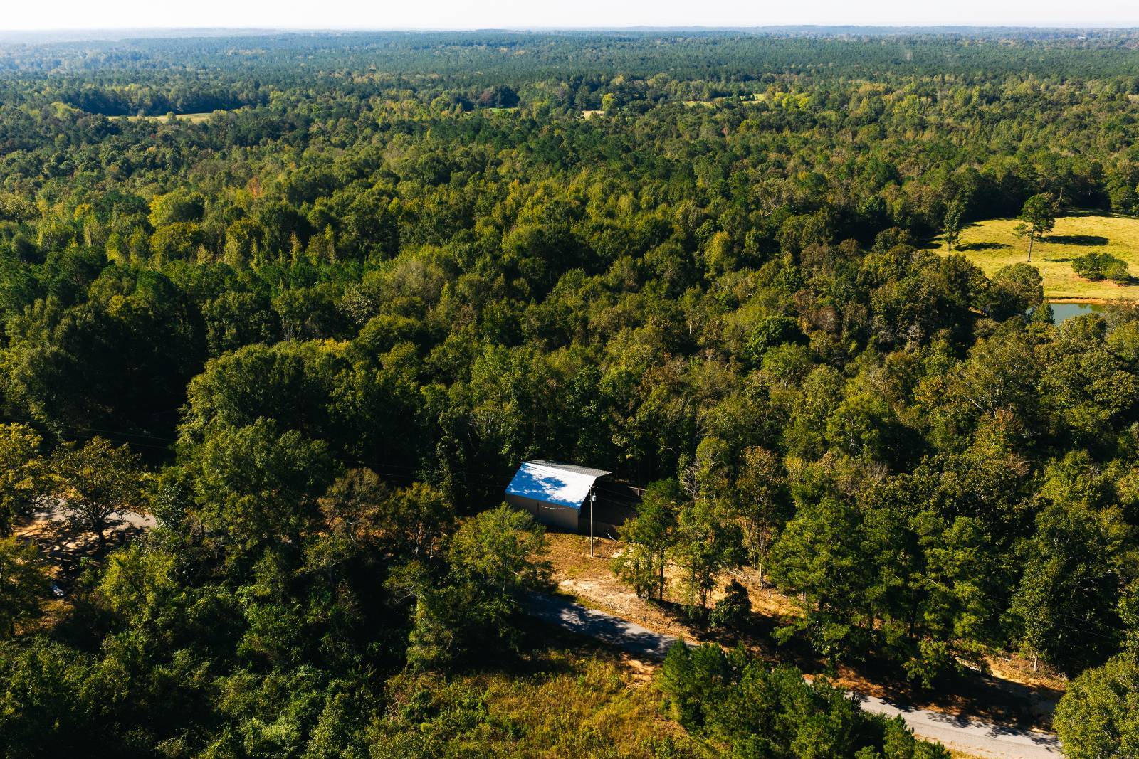Photo 4 of 38 of land for sale at 179 Isaac Newsom Rd, Pinola, MS 39149