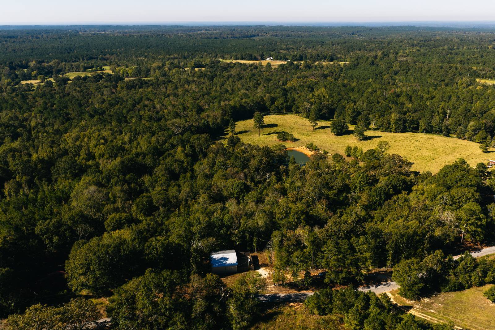 Photo 3 of 38 of land for sale at 179 Isaac Newsom Rd, Pinola, MS 39149