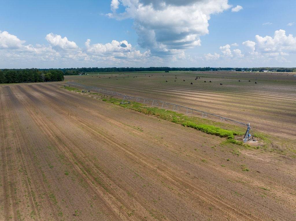 532 acres in Jackson County, FL: hunting land for sale near Marianna, FL