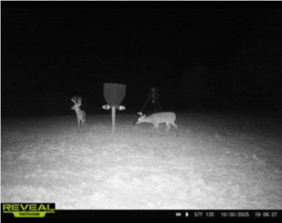 532-Acre Hunting Land for Sale, Jackson County, FL, photo 3 of 12