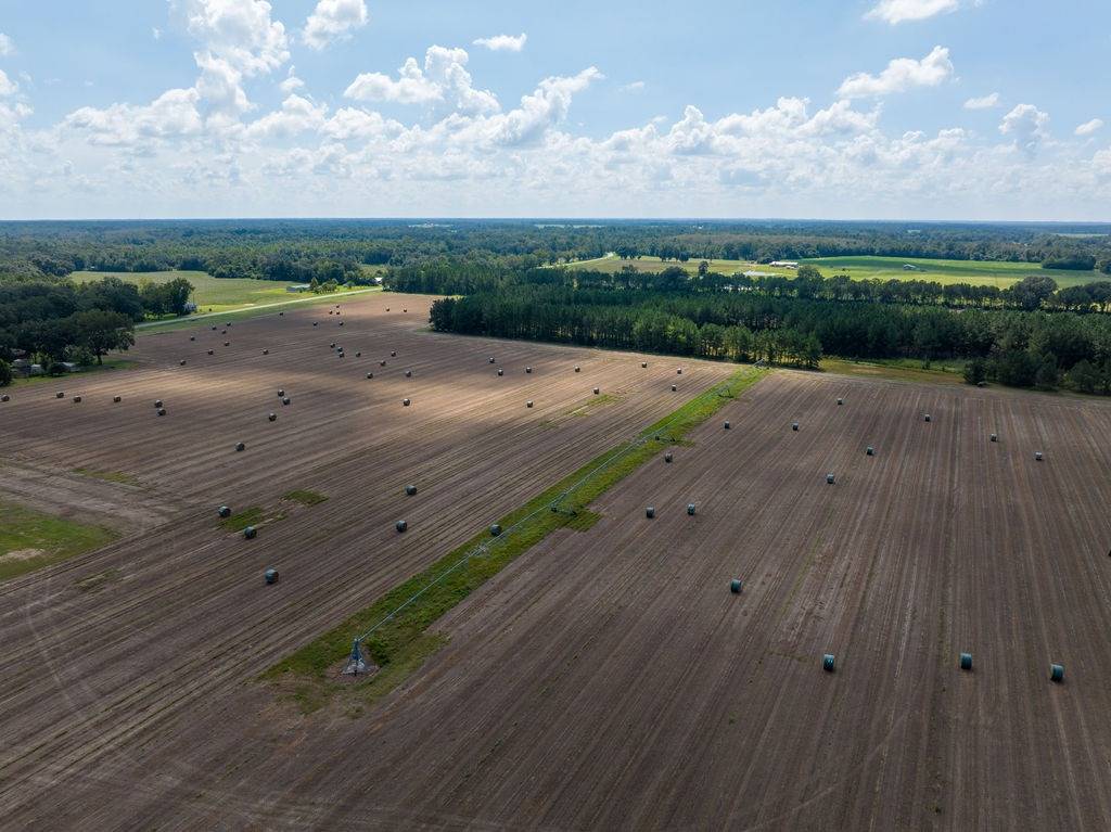 532-Acre Hunting Land for Sale, Jackson County, FL, photo 2 of 12