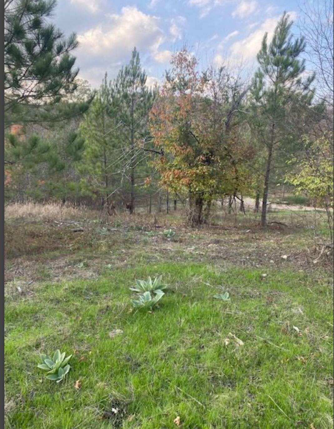 Photo 3 of 4 of land for sale at Lot 27 Hidden Pines, Broken Bow, OK 74728