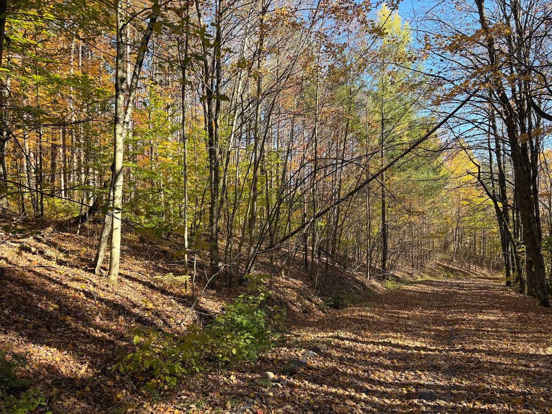 43.3 acres in Oneida County, NY: hunting land for sale near Westernville, NY