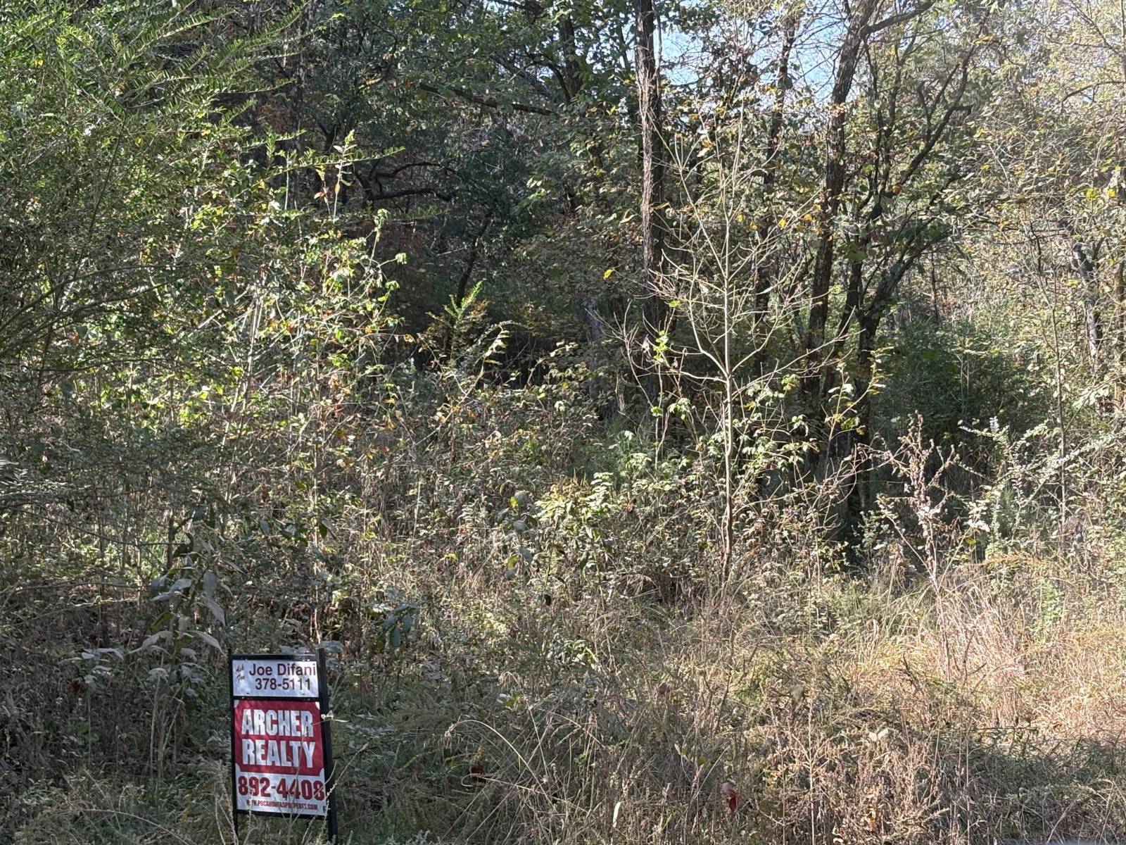 Photo 1 of 3 of land for sale at TBD Blacks Ferry Rd., Pocahontas, AR 72455