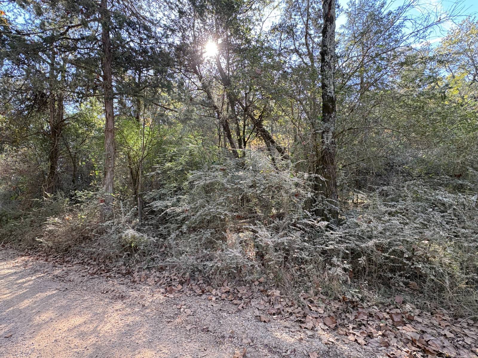 Photo 2 of 3 of land for sale at TBD Blacks Ferry Rd., Pocahontas, AR 72455