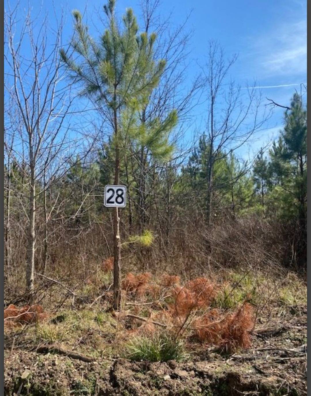 Photo 1 of 2 of land for sale at Lot 28 Hidden Pines, Broken Bow, OK 74728