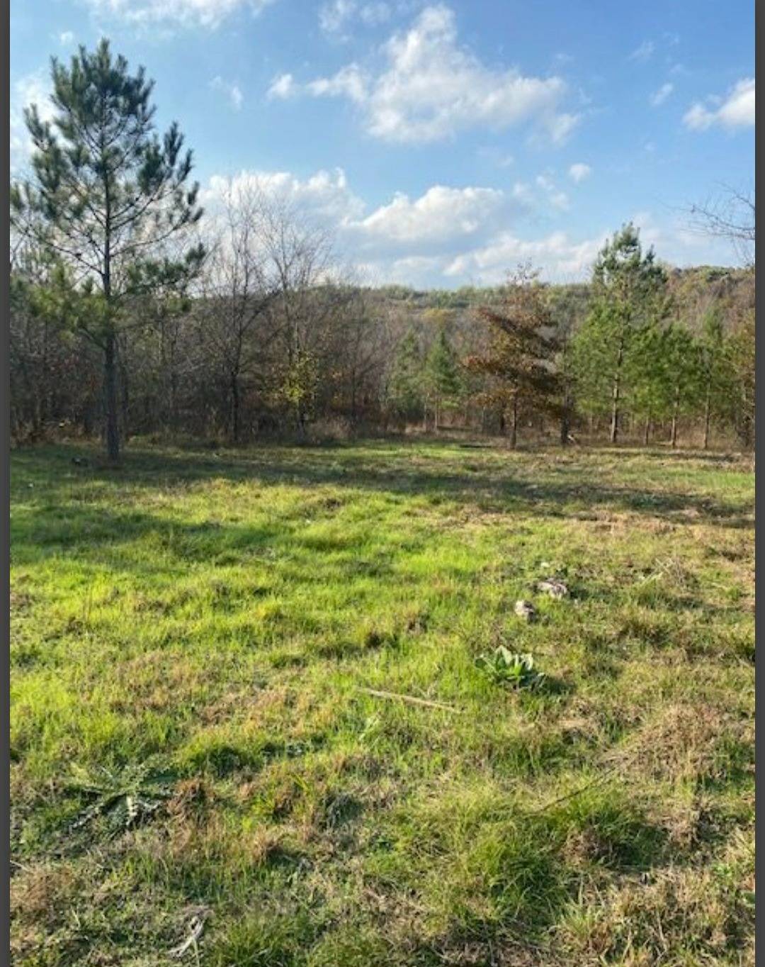 Photo 2 of 5 of land for sale at Lot 29 Hidden Pines, Broken Bow, OK 74728