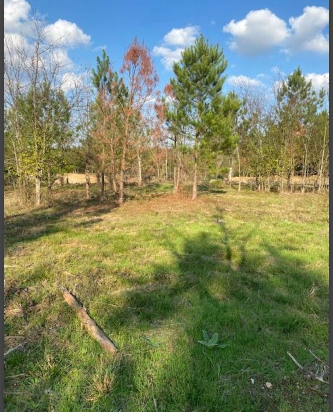Photo 4 of 5 of land for sale at Lot 29 Hidden Pines, Broken Bow, OK 74728