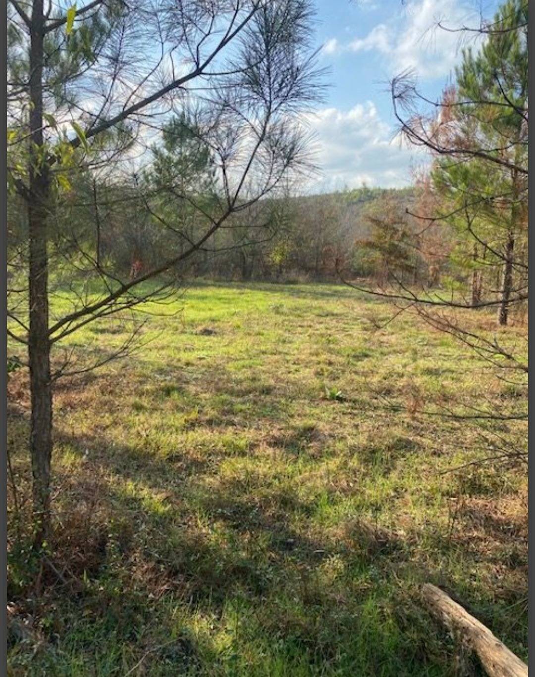 Photo 3 of 5 of land for sale at Lot 29 Hidden Pines, Broken Bow, OK 74728