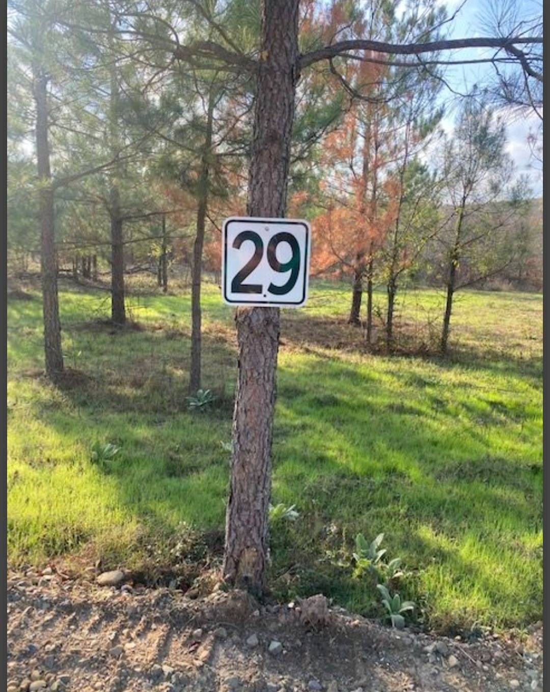 Photo 1 of 5 of land for sale at Lot 29 Hidden Pines, Broken Bow, OK 74728