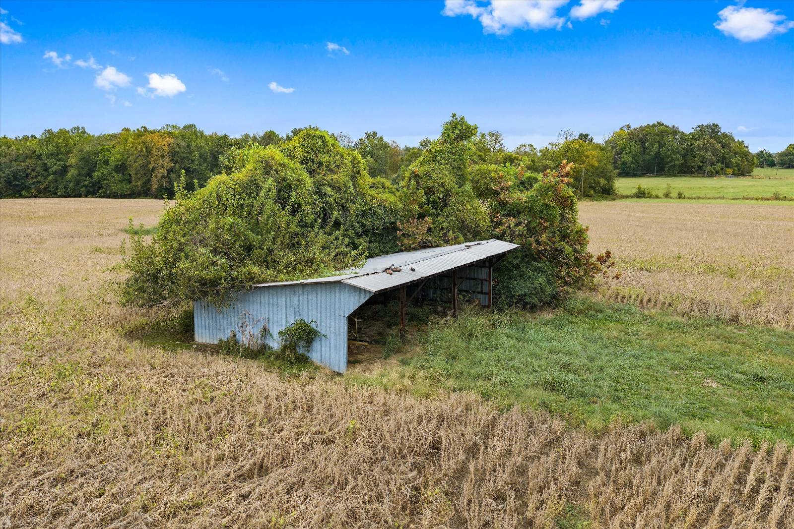 4335 Rudy Rd.
