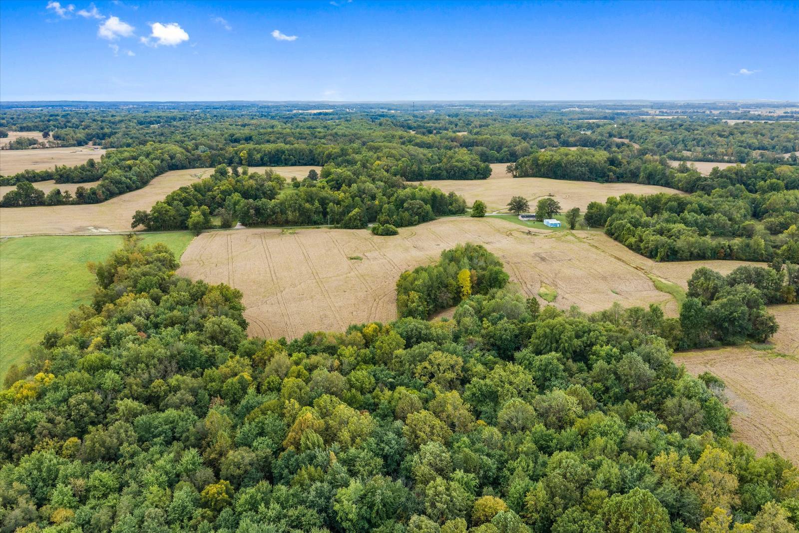 4335 Rudy Rd.
