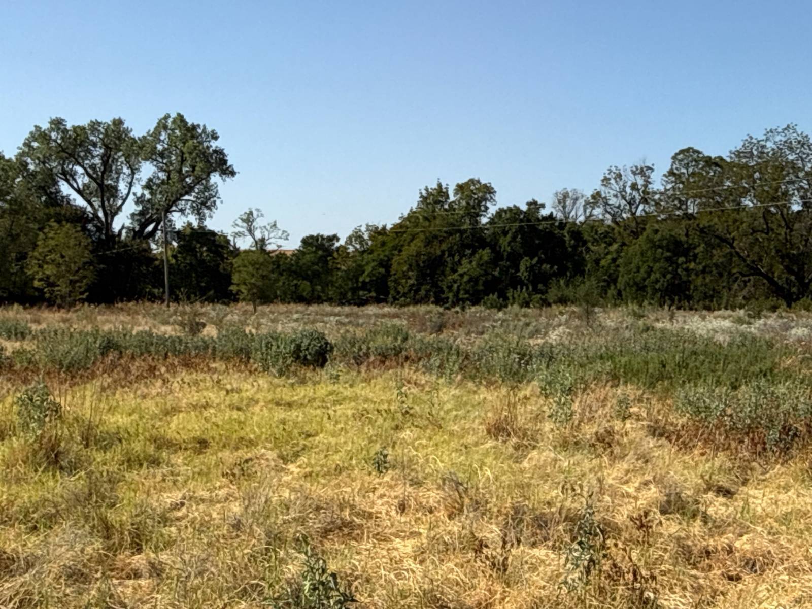 14-Acre Hunting Land for Sale, Caddo County, OK, photo 2 of 36