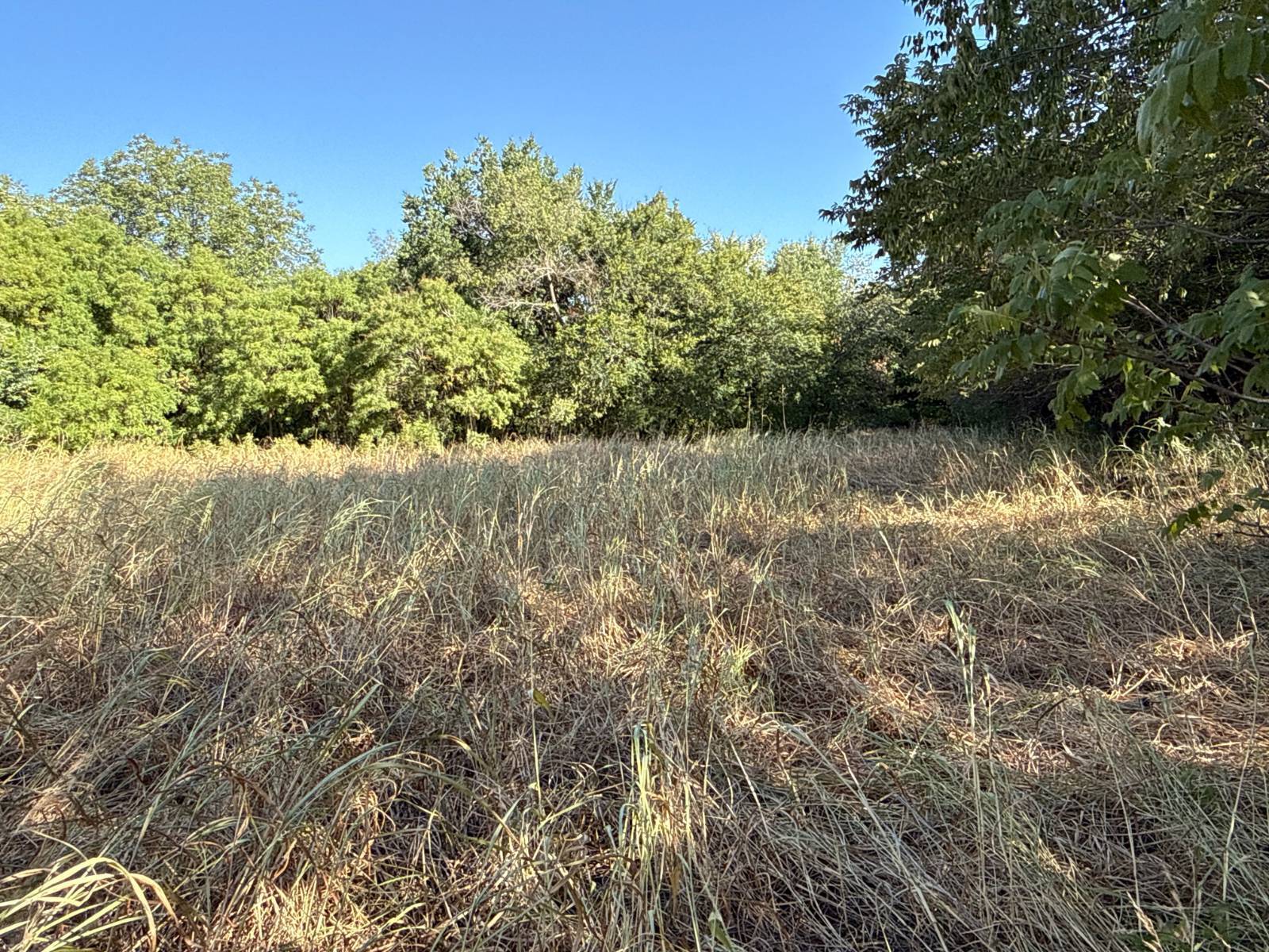 14-Acre Hunting Land for Sale, Caddo County, OK, photo 3 of 36