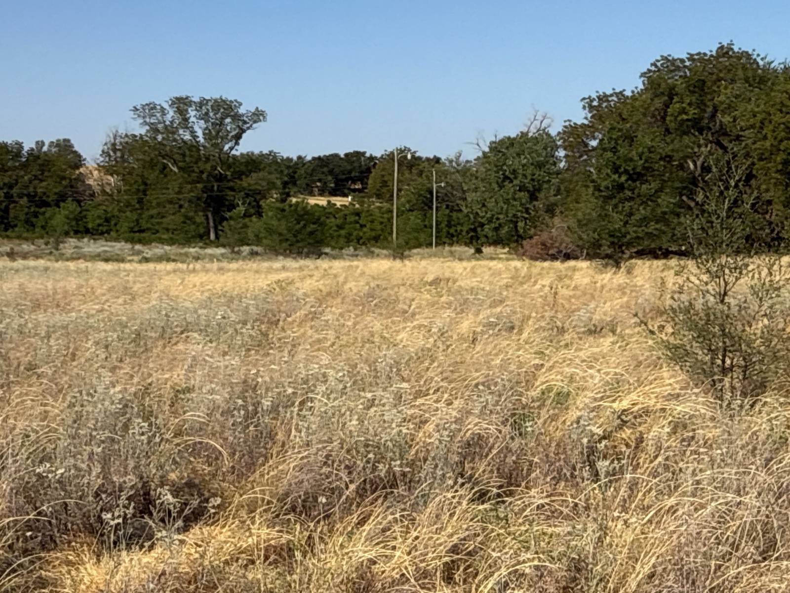 14 acres in Caddo County, OK: hunting land for sale near Hydro, OK