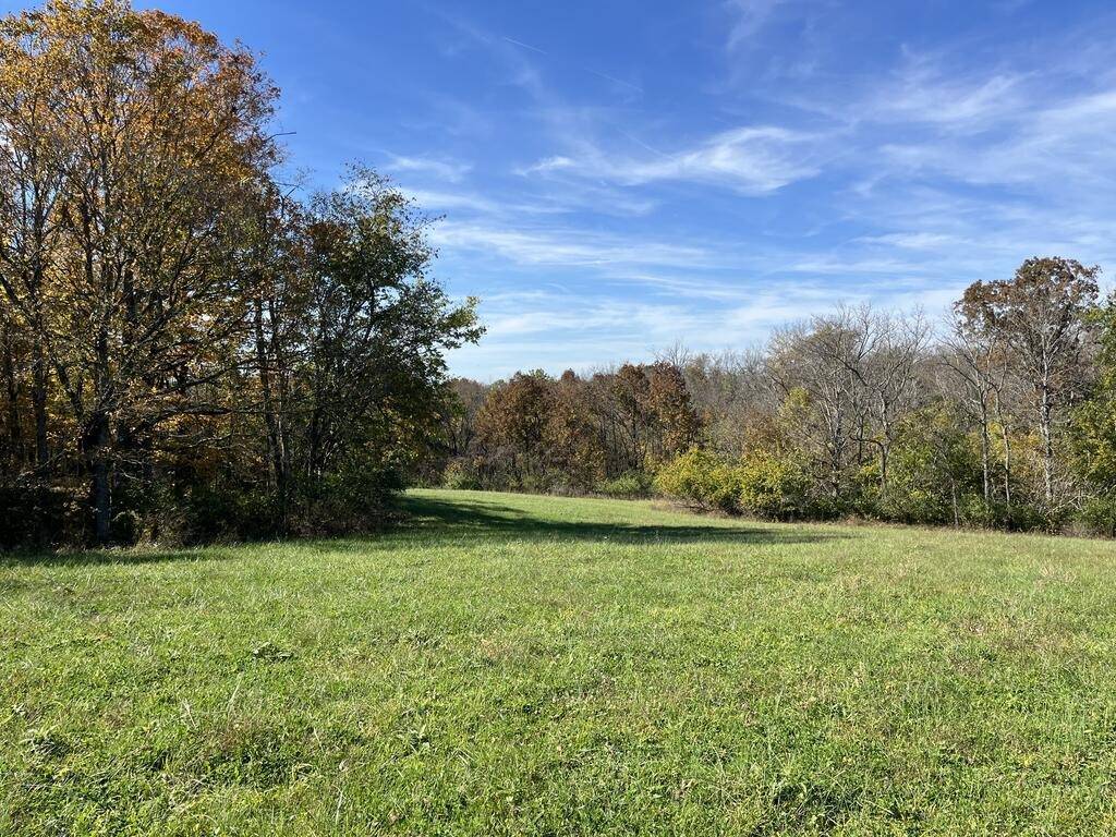 Photo 4 of 8 of farm or ranch property for sale at 0 Orchard Road, Flemingsburg, KY 41041