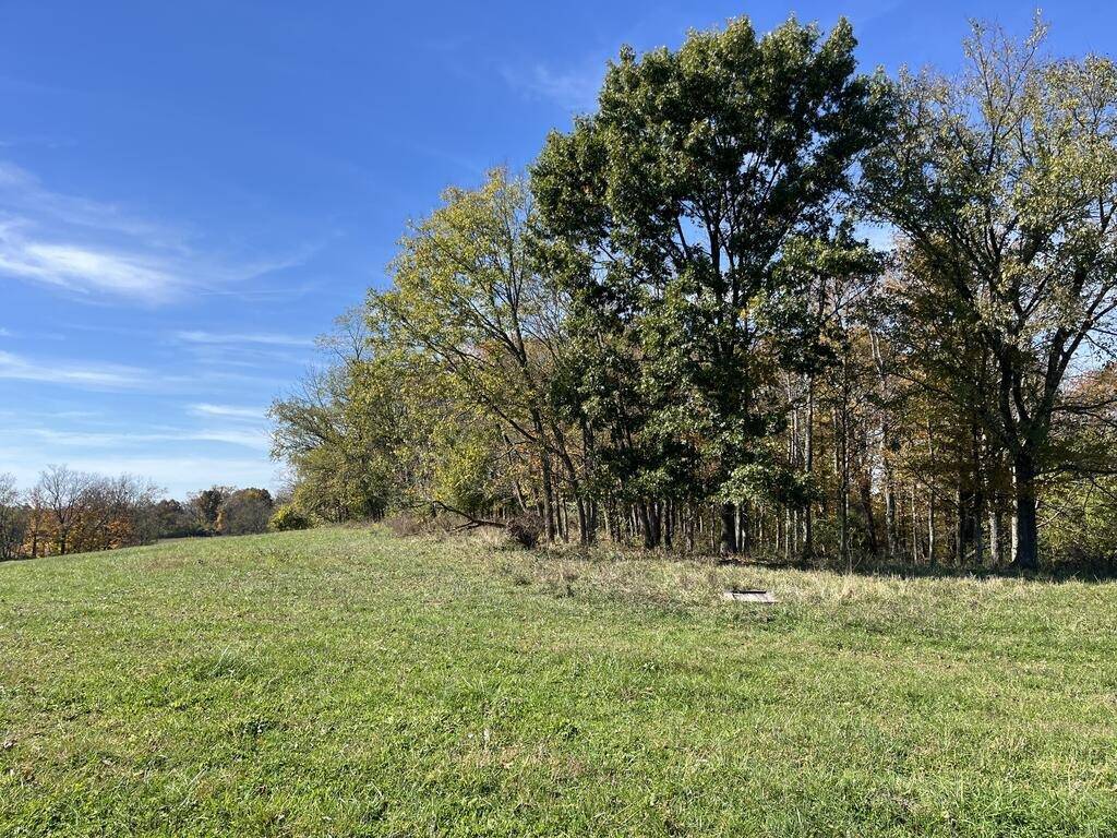 Photo 3 of 8 of farm or ranch property for sale at 0 Orchard Road, Flemingsburg, KY 41041