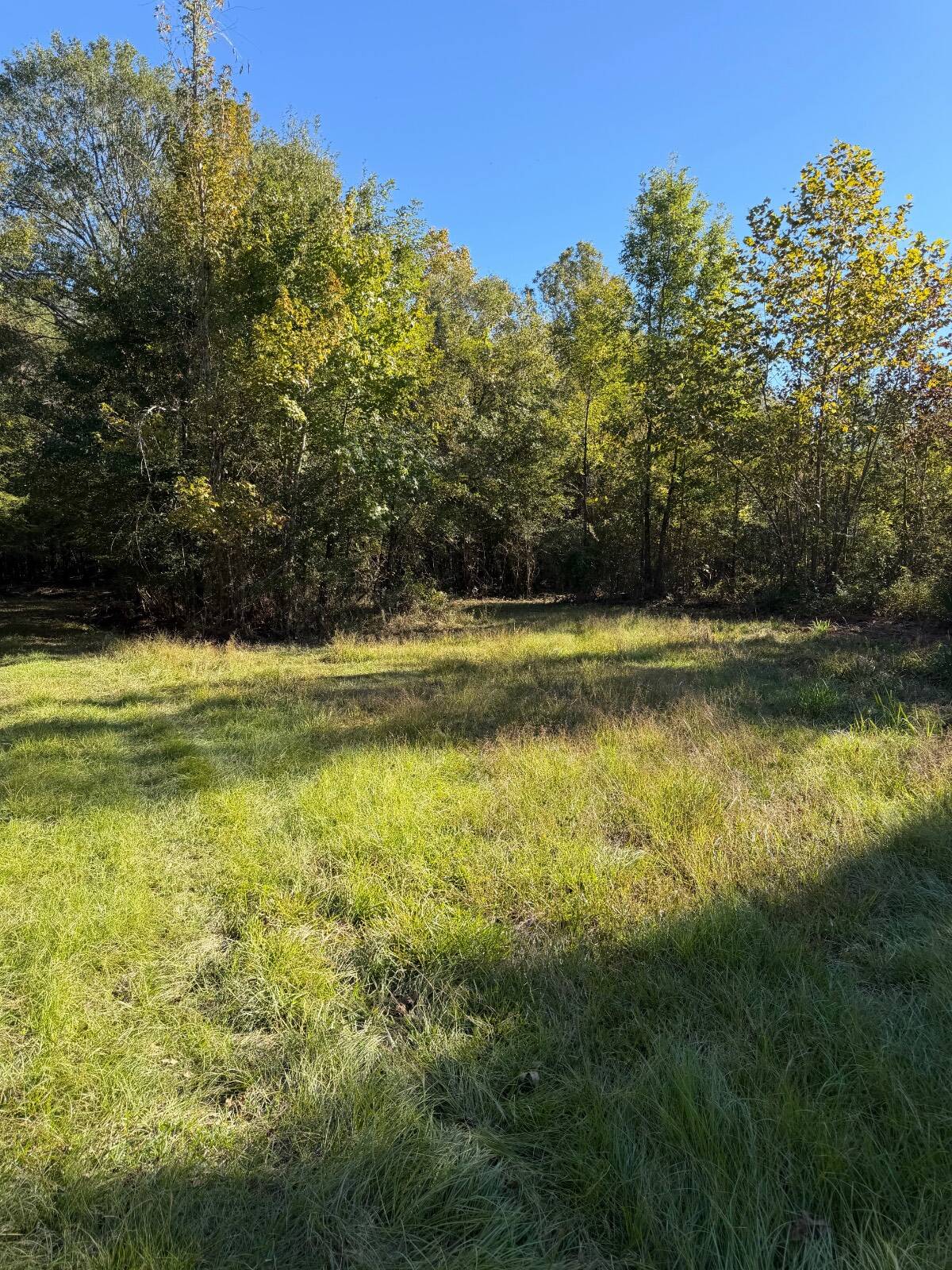 314-Acre Hunting Land for Sale, Crenshaw County, AL, photo 2 of 92