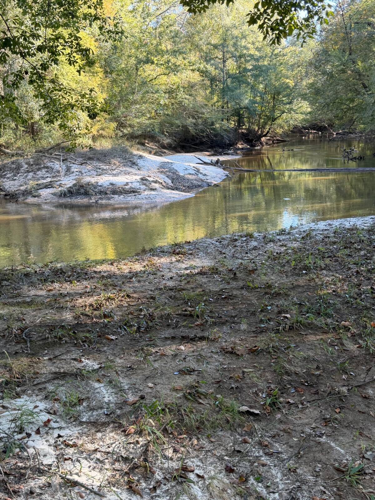 314 acres in Crenshaw County, AL: hunting land for sale near Brantley, AL