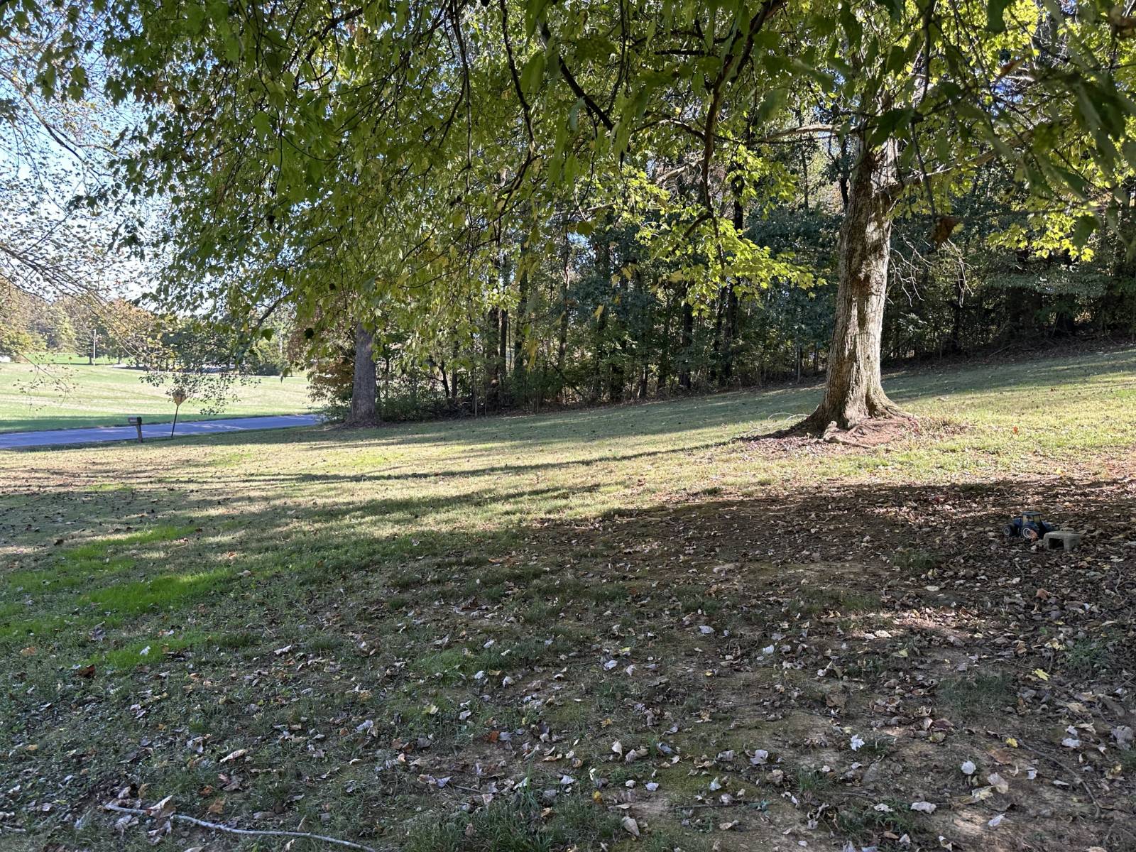 10300 McIntyre Rd.