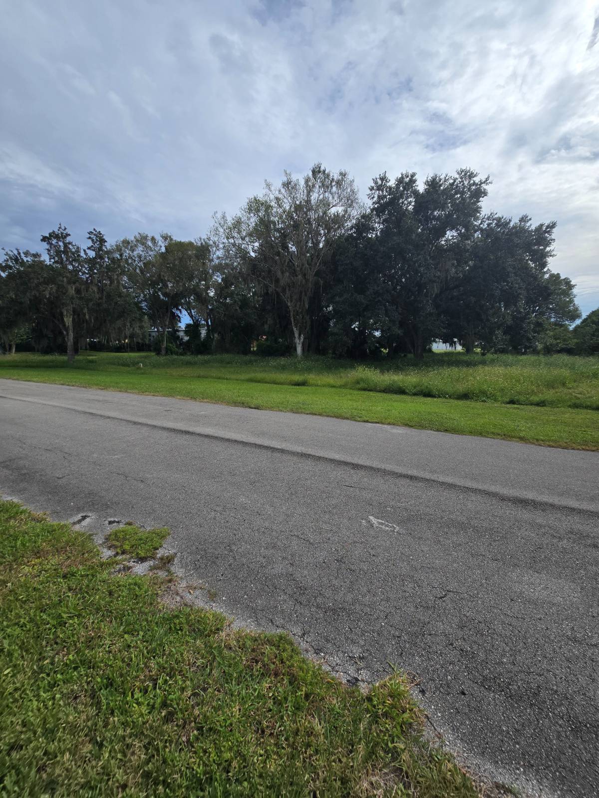 Photo 3 of 5 of land for sale at 14032 SW 16th Ct #3, Okeechobee, FL 34974