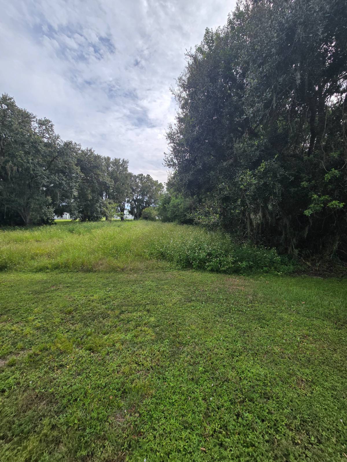Photo 2 of 5 of land for sale at 14032 SW 16th Ct #3, Okeechobee, FL 34974