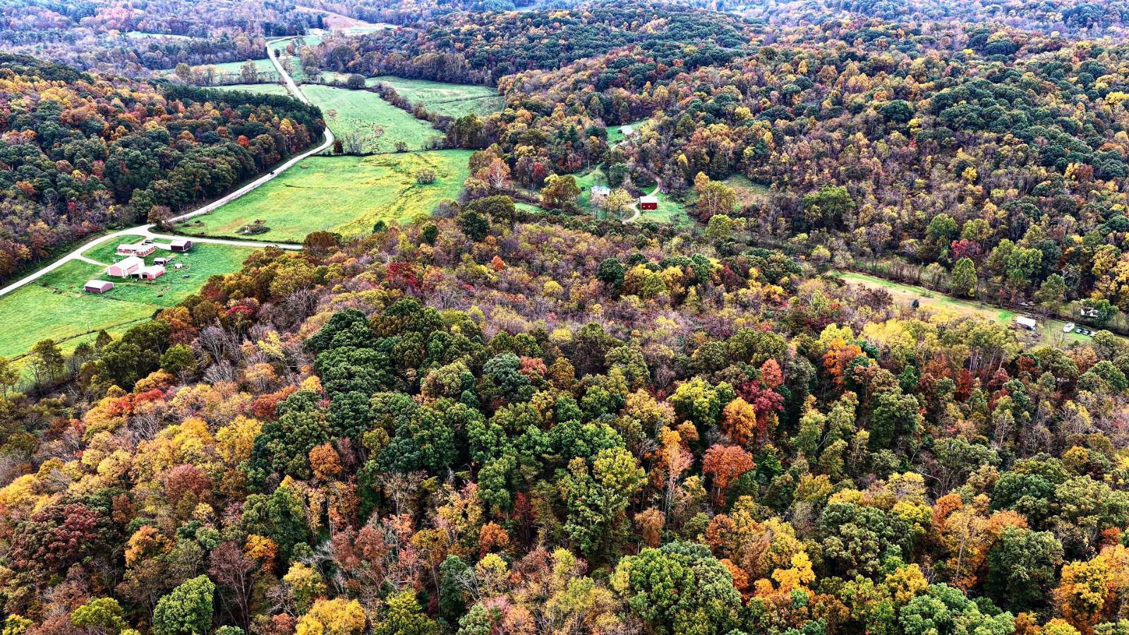 16.2-Acre Hunting Land for Sale, Hocking County, OH, photo 3 of 10