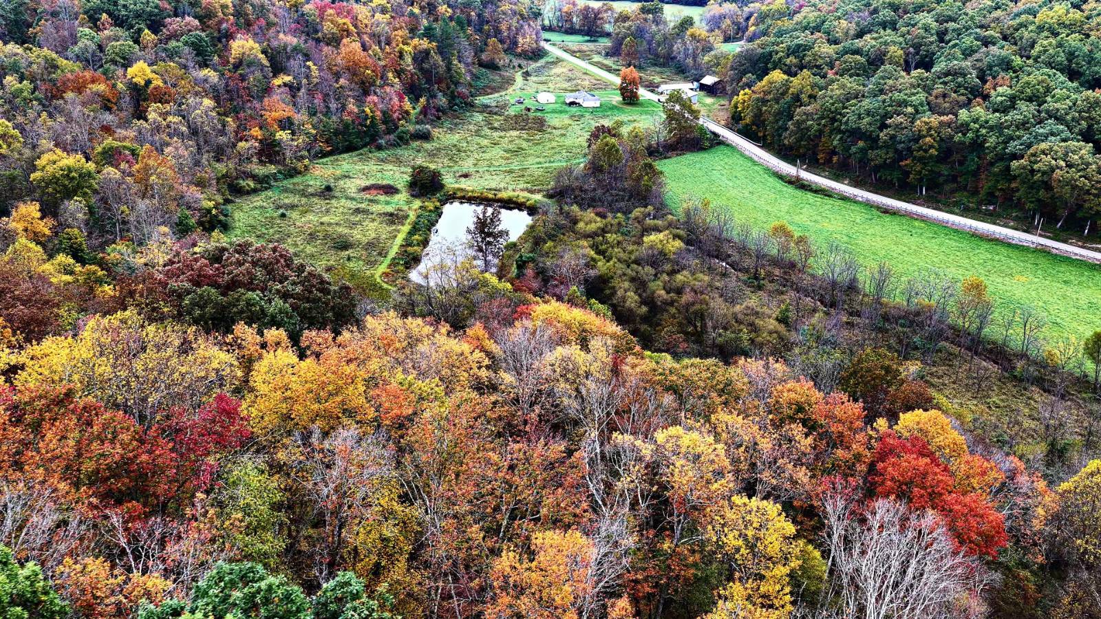 16.2-Acre Hunting Land for Sale, Hocking County, OH, photo 2 of 10