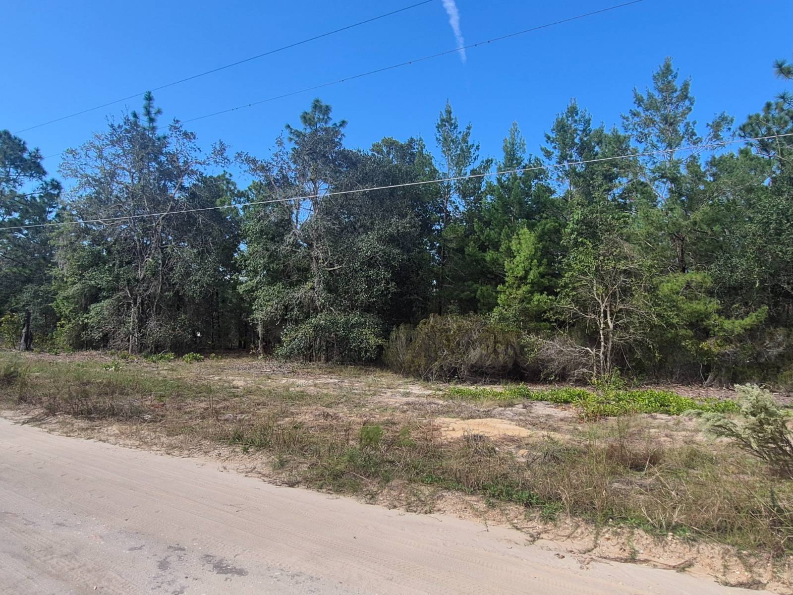 Photo 2 of 7 of land for sale at 114 Franklin Dr, Hawthorne, FL 32640