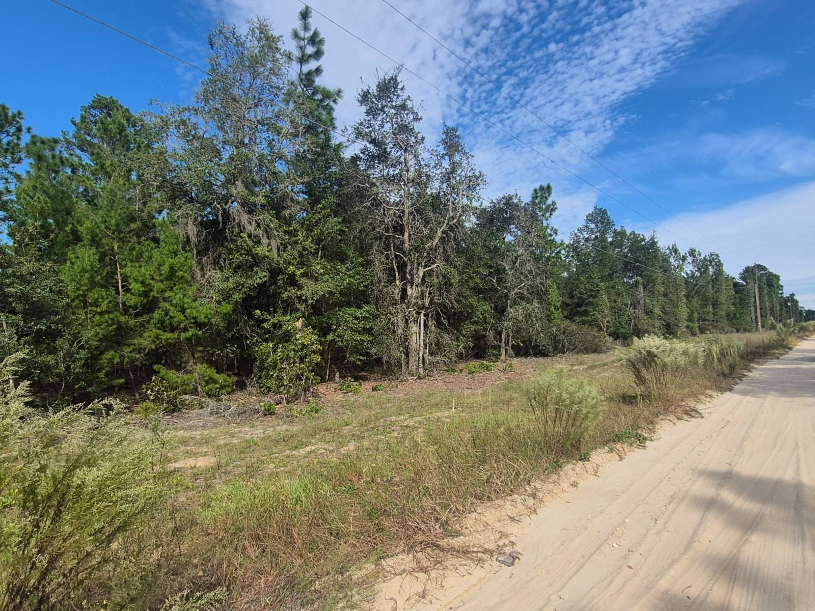 Photo 3 of 7 of land for sale at 114 Franklin Dr, Hawthorne, FL 32640