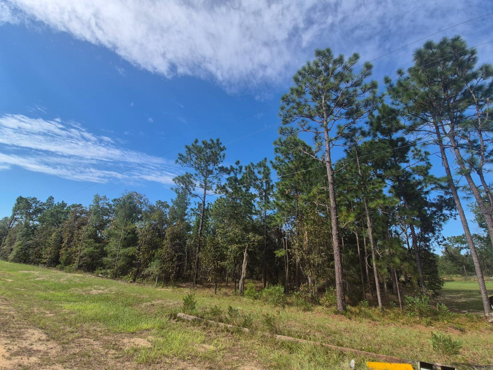 Photo 1 of 7 of land for sale at 114 Franklin Dr, Hawthorne, FL 32640