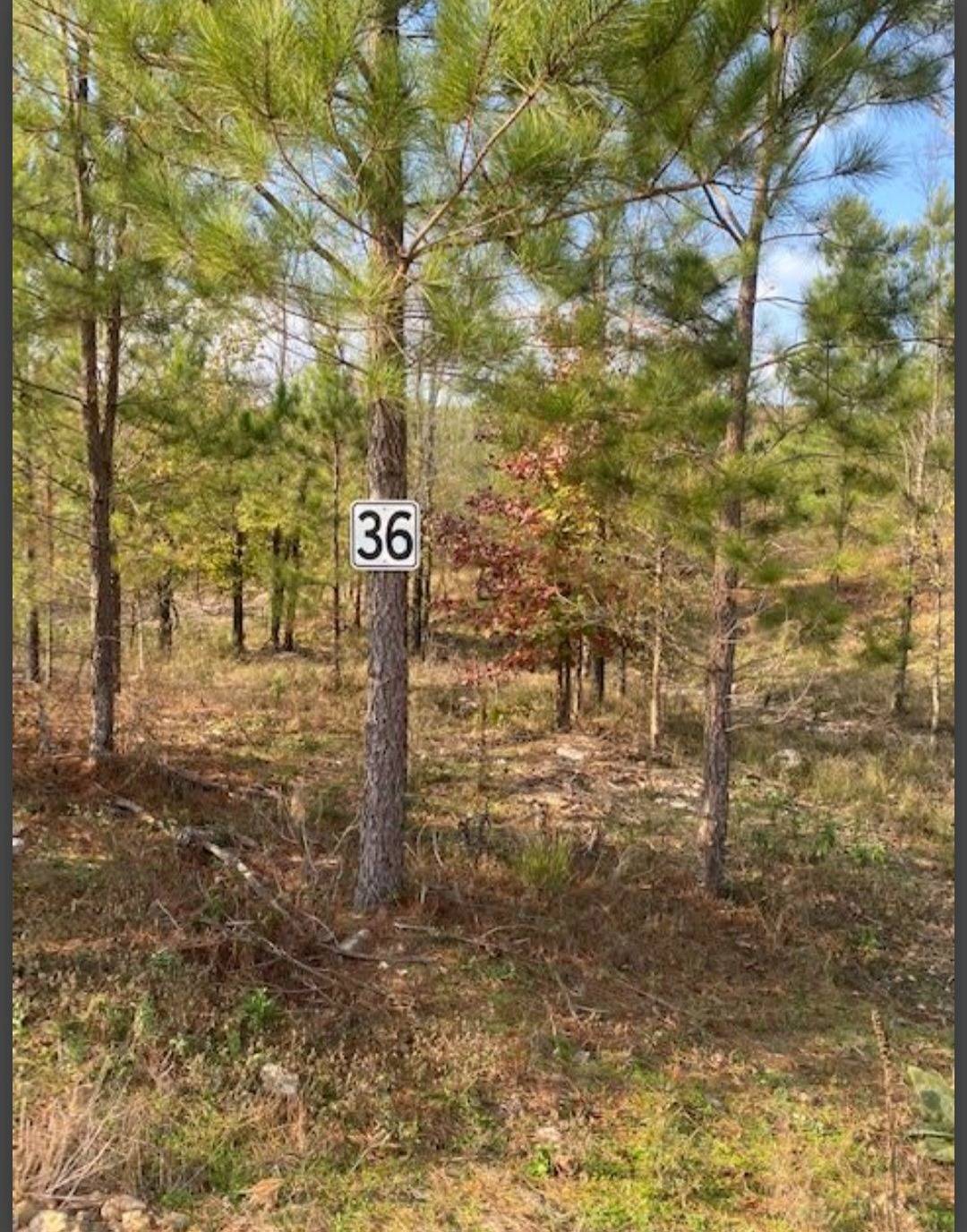 Photo 1 of 3 of land for sale at Lot 36 Hidden Pines, Broken Bow, OK 74728