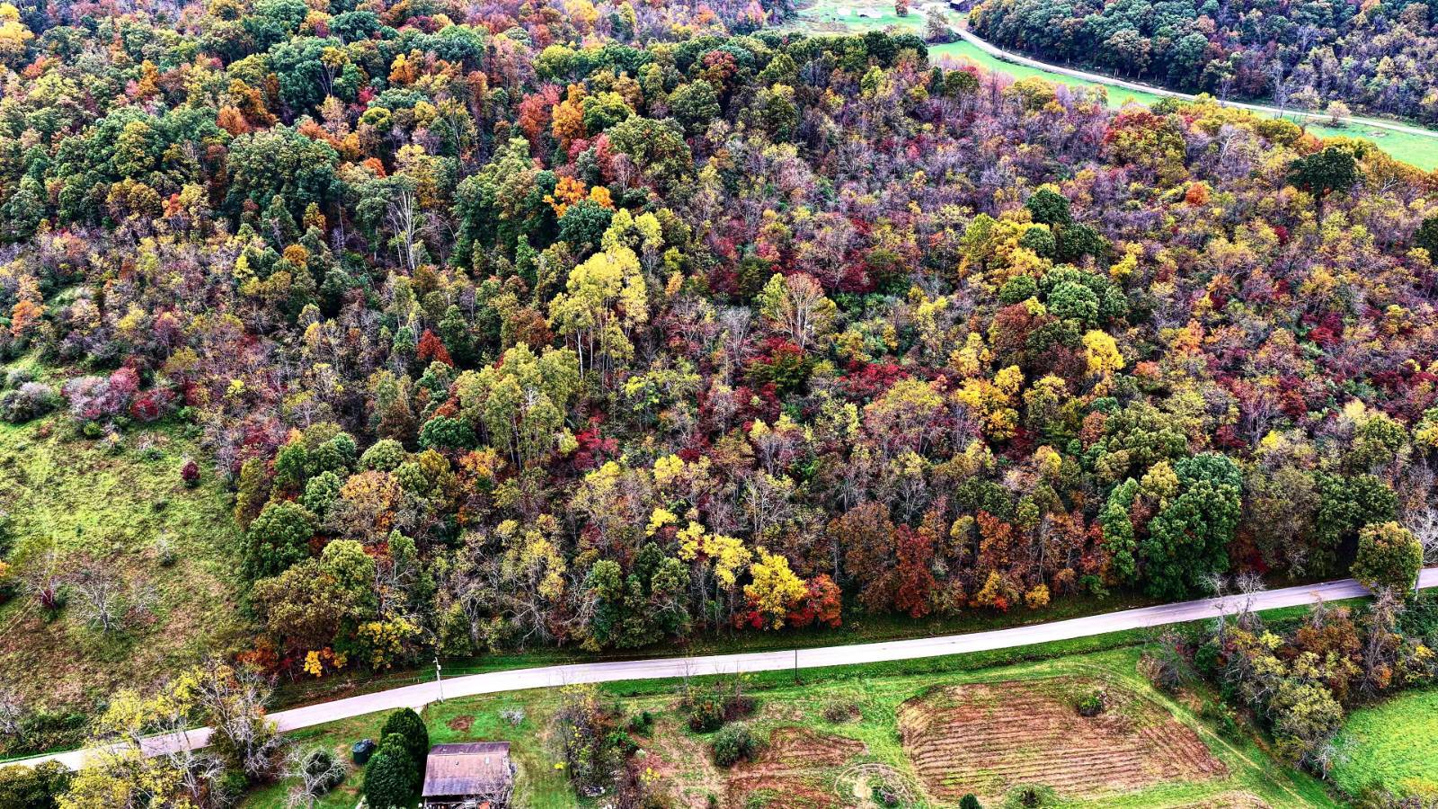 5.1-Acre Hunting Land for Sale, Hocking County, OH, photo 2 of 11